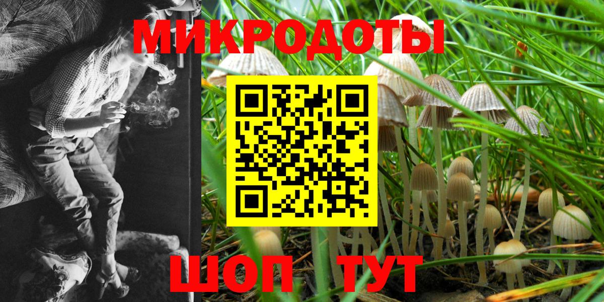 Галлюциногенные грибы прущие грибы  Галлюциногенные грибы прущие грибы  Пенза  Вход с VPN 